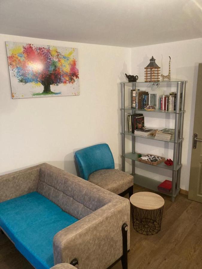 Appartement Plein Pied 45 M2 Baccarat Kültér fotó